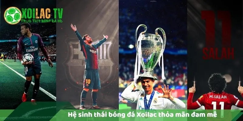 Hệ sinh thái bóng đá xoilac thỏa mãn đam mê