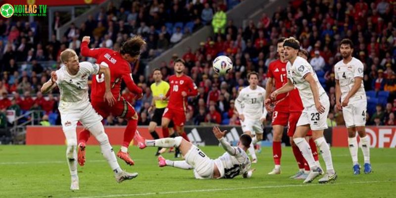  Bỉ vs Liechtenstein: Dự đoán tỷ số thuyết phục Lukaku