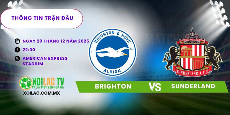 Thông tin trận đấu Brighton vs Sunderland Thông tin trận đấu Brighton vs Sunderland